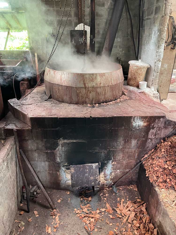 テーチ木を煮る大釜